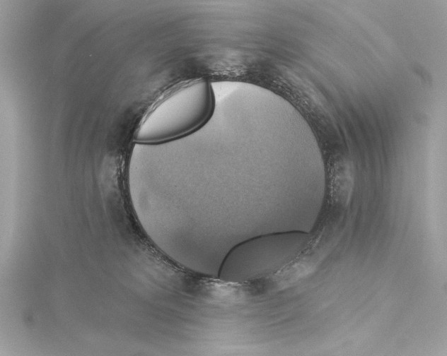 X0000115330229200911301534