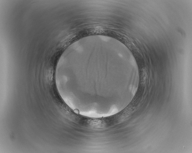 X0000115330230200911301534