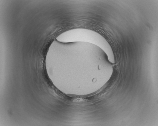 X0000115330231200911301534