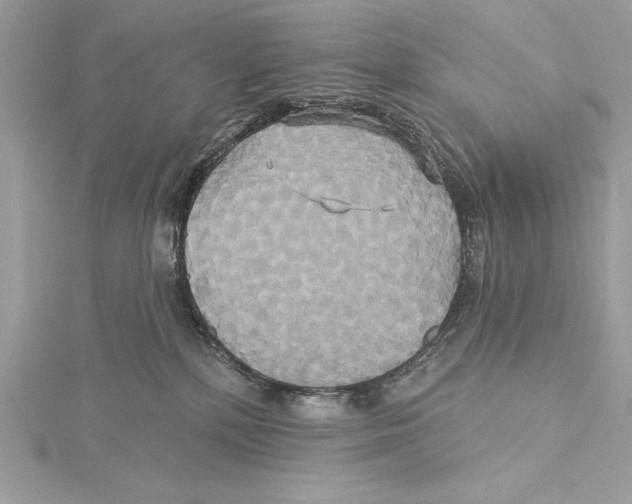 X0000115330232200911301533