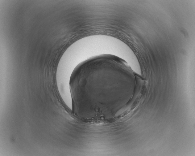 X0000115330235200911301533