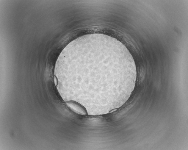 X0000115330236200911301533