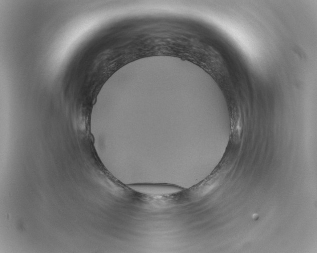 X0000115330239200911301533