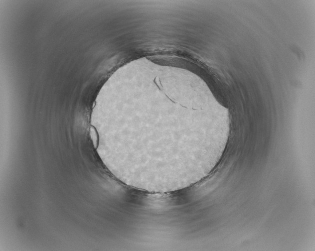 X0000115330240200911301533