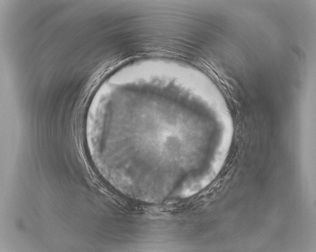 X0000115330241200911301533