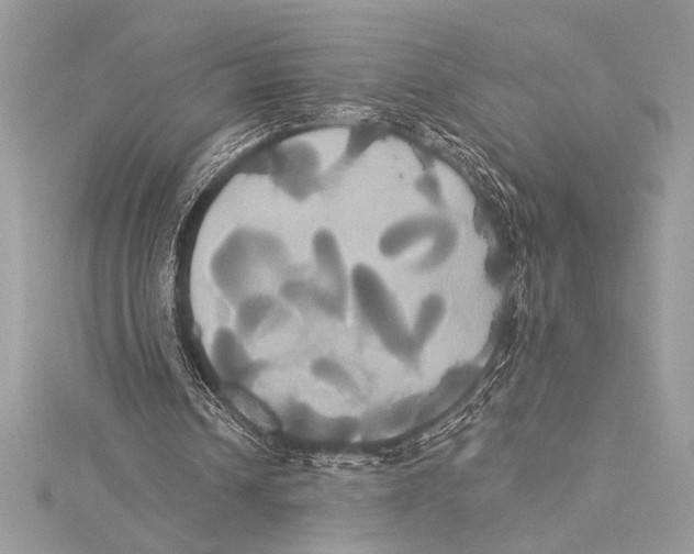 X0000115330242200911301533