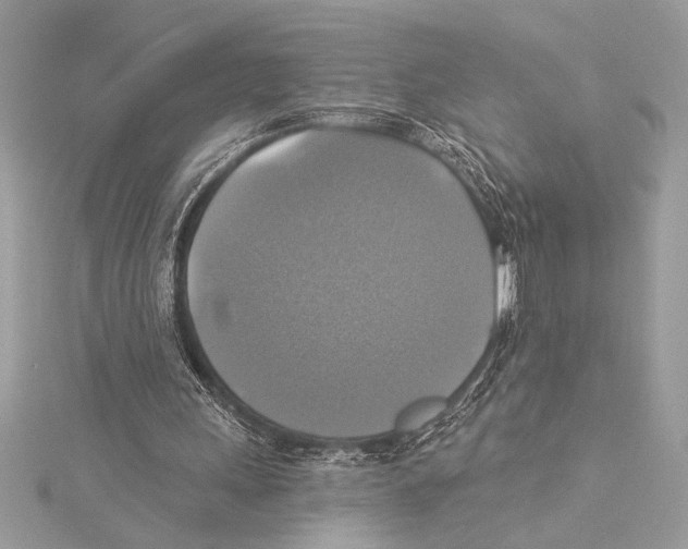 X0000115330243200911301533