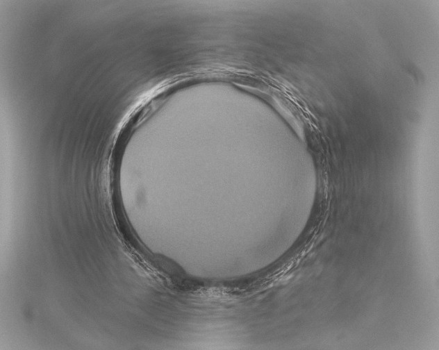 X0000115330244200911301533