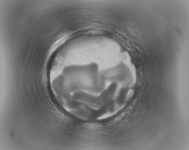 X0000115330245200911301533