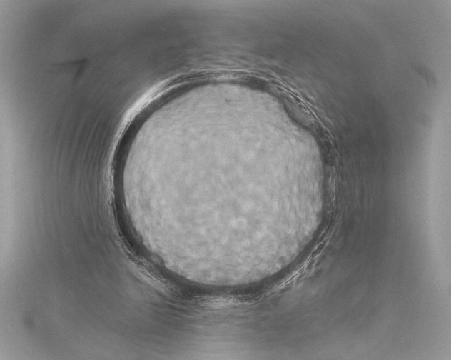 X0000115330246200911301533