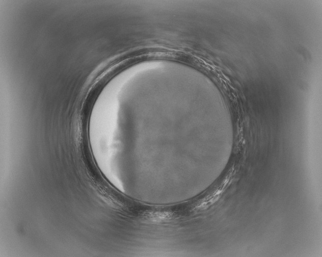 X0000115330247200911301533