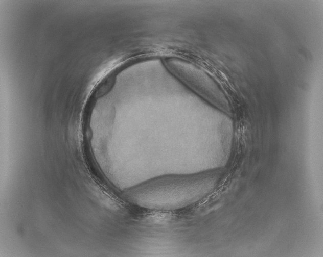 X0000115330248200911301533