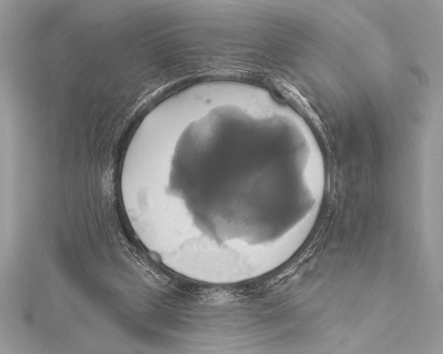 X0000115330249200911301533