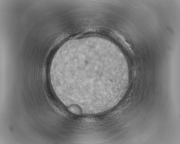 X0000115330250200911301533