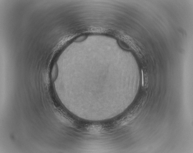 X0000115330252200911301533