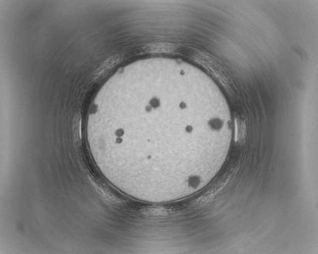 X0000115330253200911301533