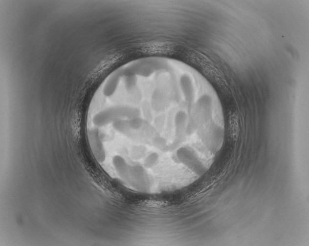 X0000115330255200911301533