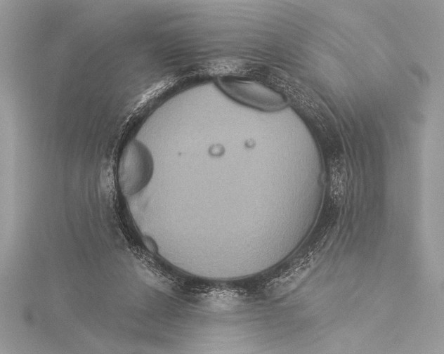 X0000115330256200911301533