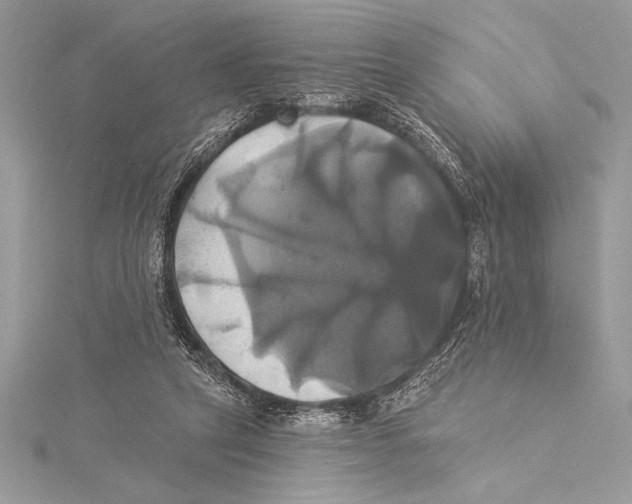 X0000115330257200911301533