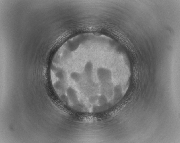 X0000115330258200911301533