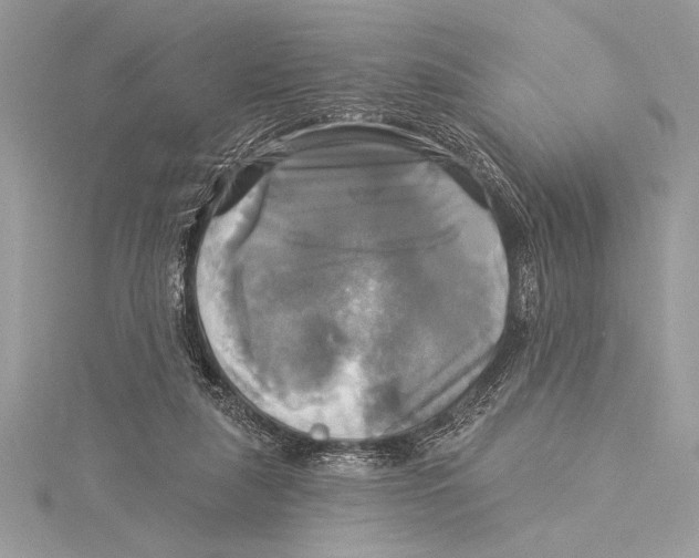 X0000115330259200911301533