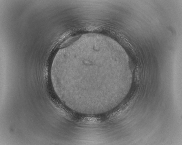 X0000115330260200911301533