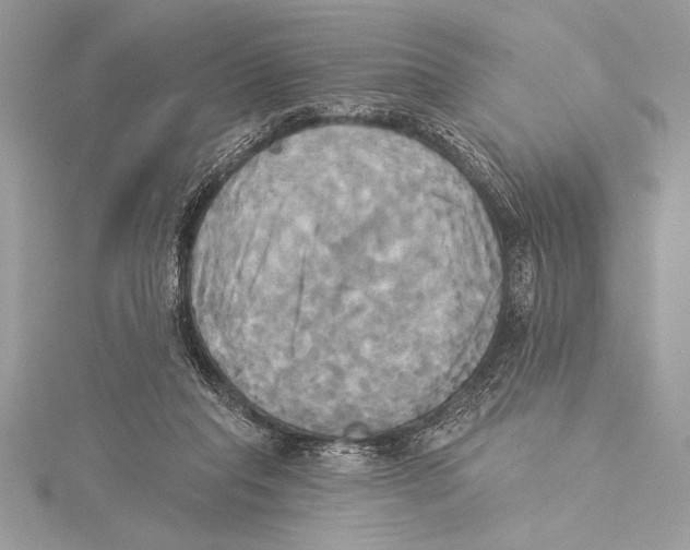 X0000115330261200911301533