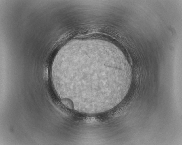 X0000115330262200911301533