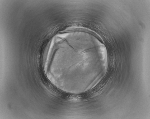 X0000115330263200911301533