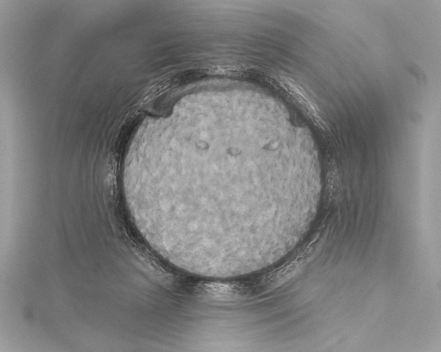 X0000115330265200911301533