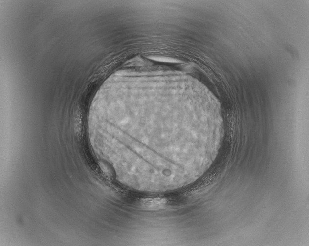 X0000115330266200911301533