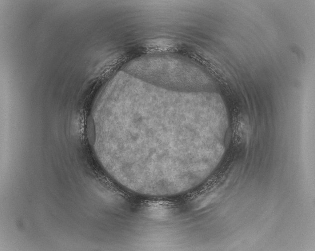 X0000115330268200911301533