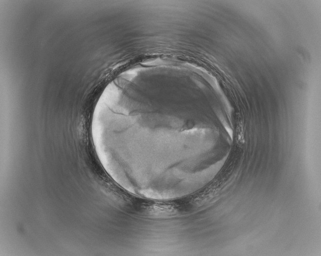 X0000115330270200911301533