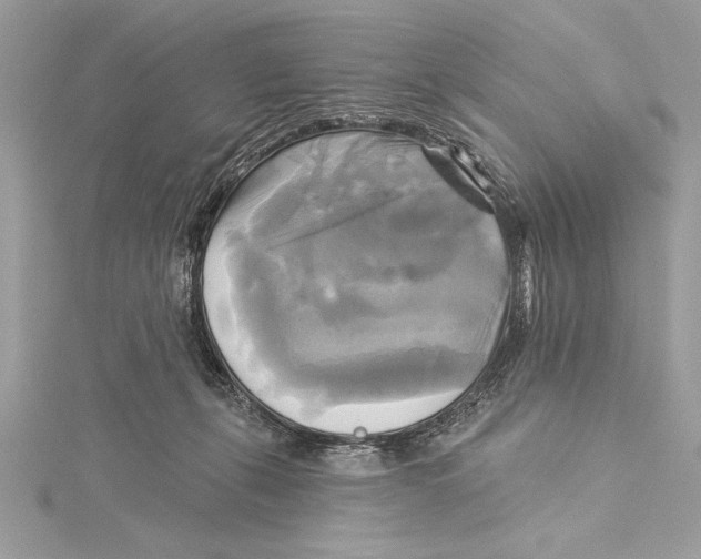 X0000115330271200911301533