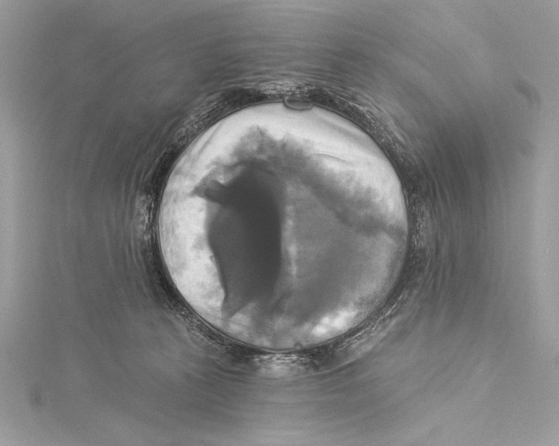 X0000115330273200911301533