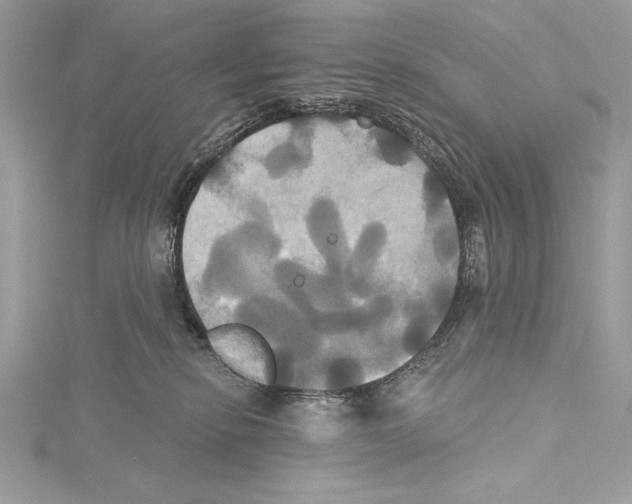 X0000115330278200911301533