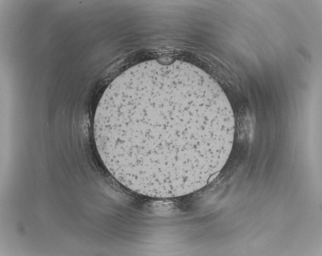 X0000115330279200911301533