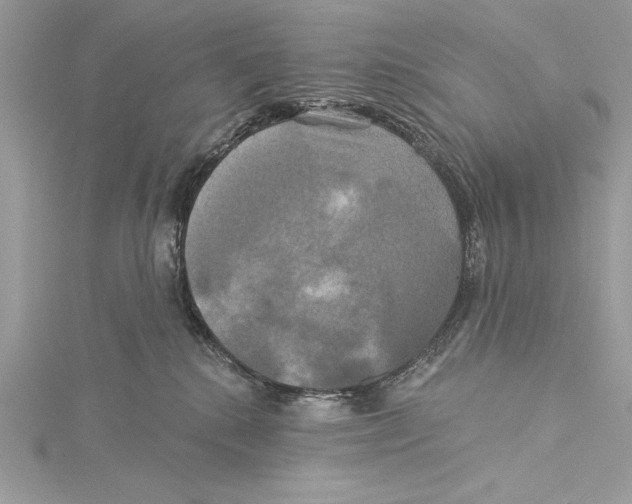 X0000115330280200911301533