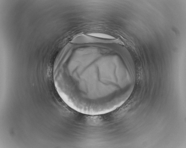 X0000115330281200911301533