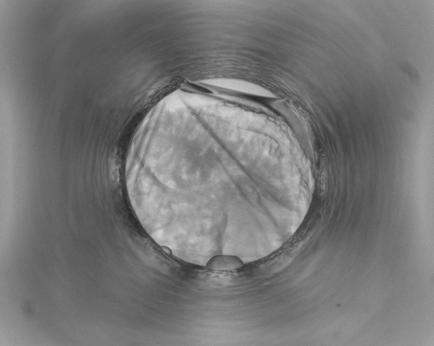 X0000115330282200911301533