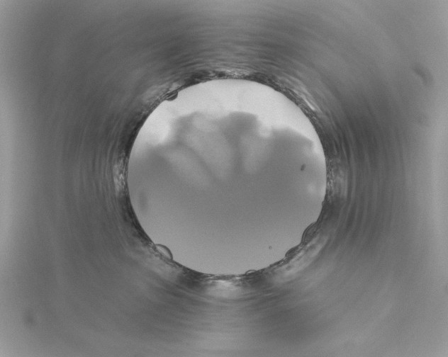 X0000115330285200911301533