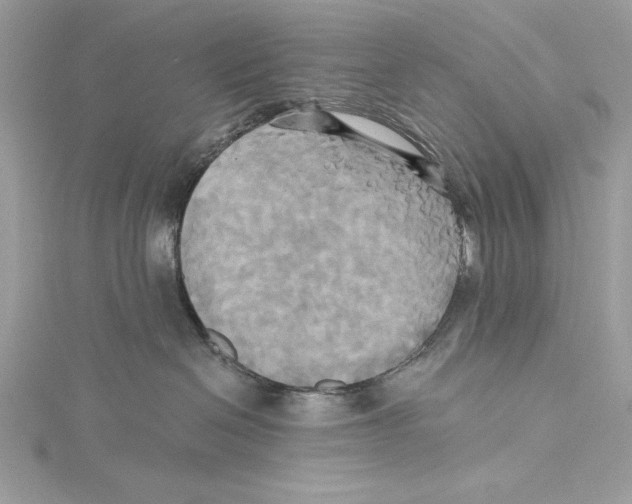 X0000115330286200911301533