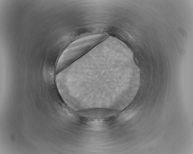 X0000115330288200911301533