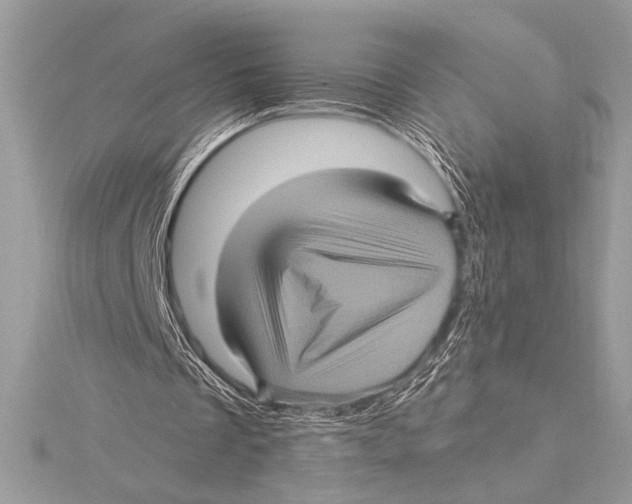 X0000115330289200911301533