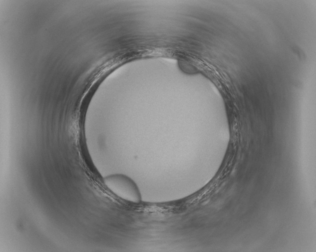 X0000115330290200911301533