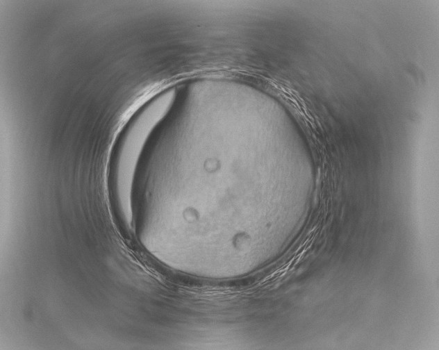 X0000115330292200911301533