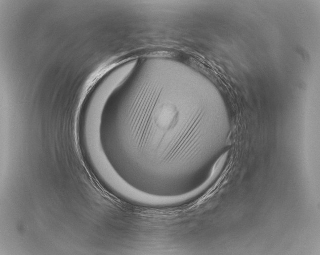 X0000115330294200911301533