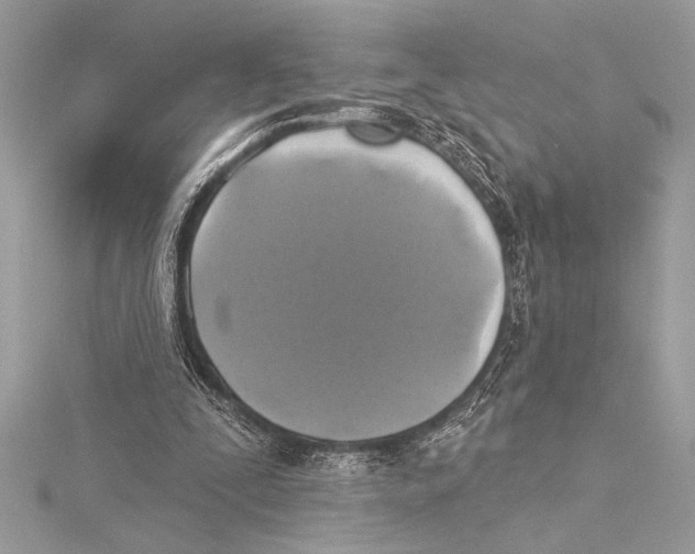 X0000115330295200911301533