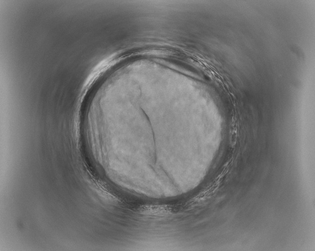 X0000115330296200911301533