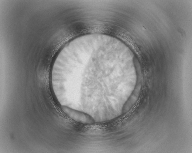 X0000115330297200911301533